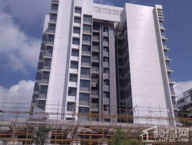 华鸿·珑悦轩实景图