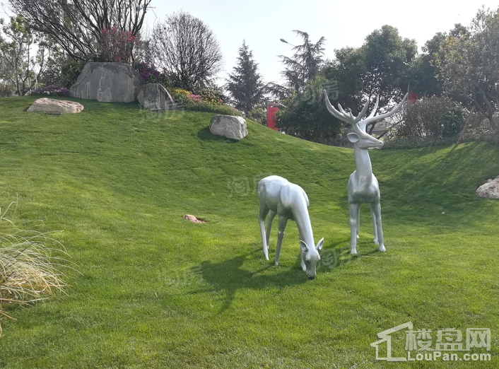 碧桂园御龙半山实景图