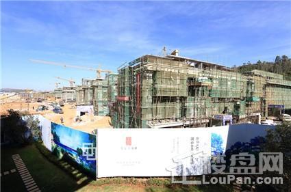 东旭·御山湖实景图