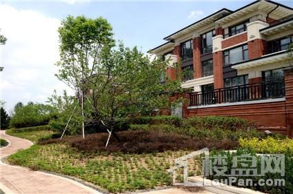 东旭·御山湖实景图