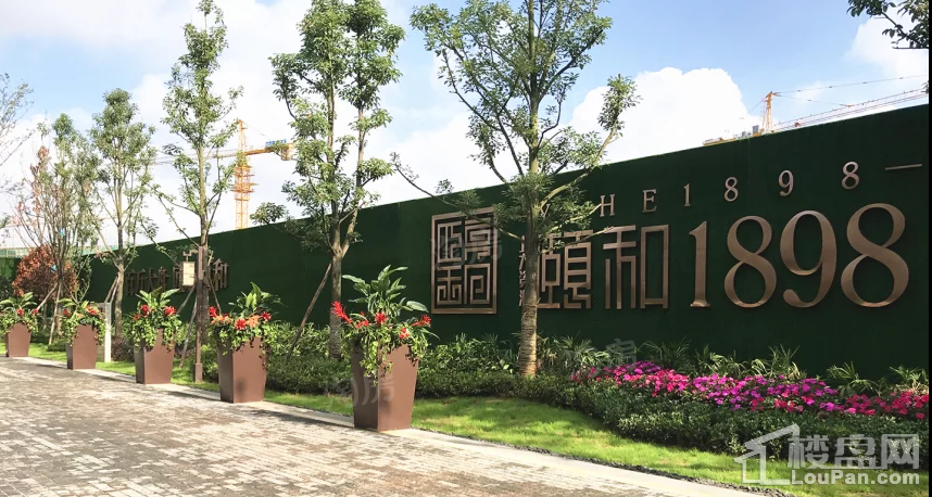 北大资源·颐和1898实景图