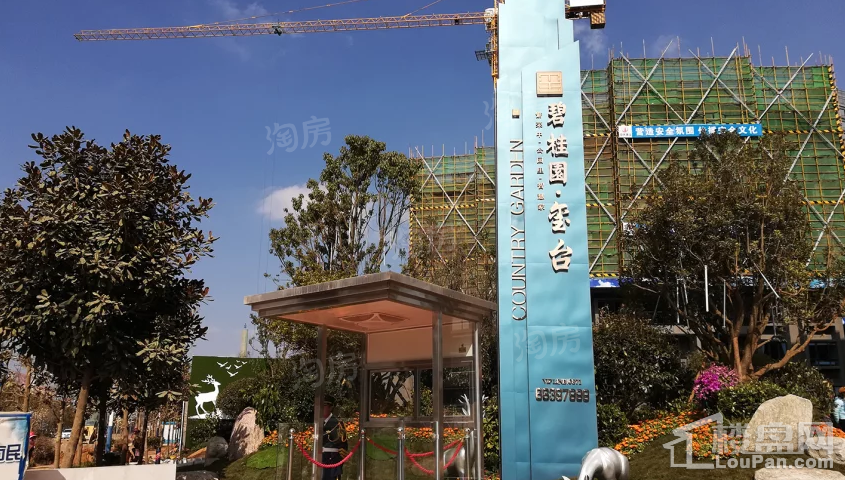 碧桂园·玺台实景图