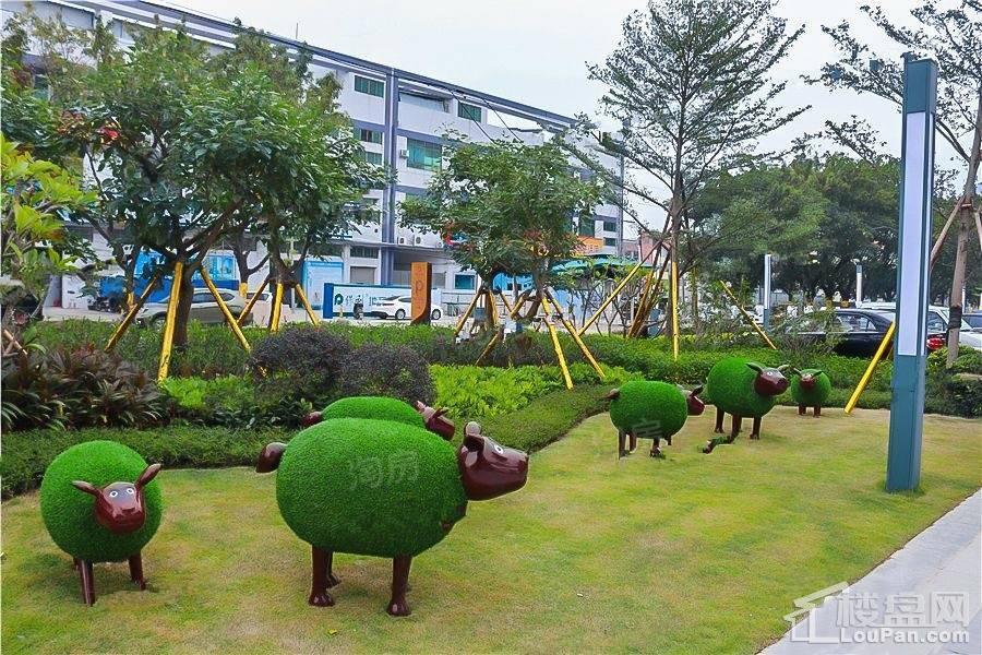 保利香槟国际实景图