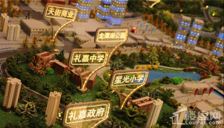 礼悦江山实景图