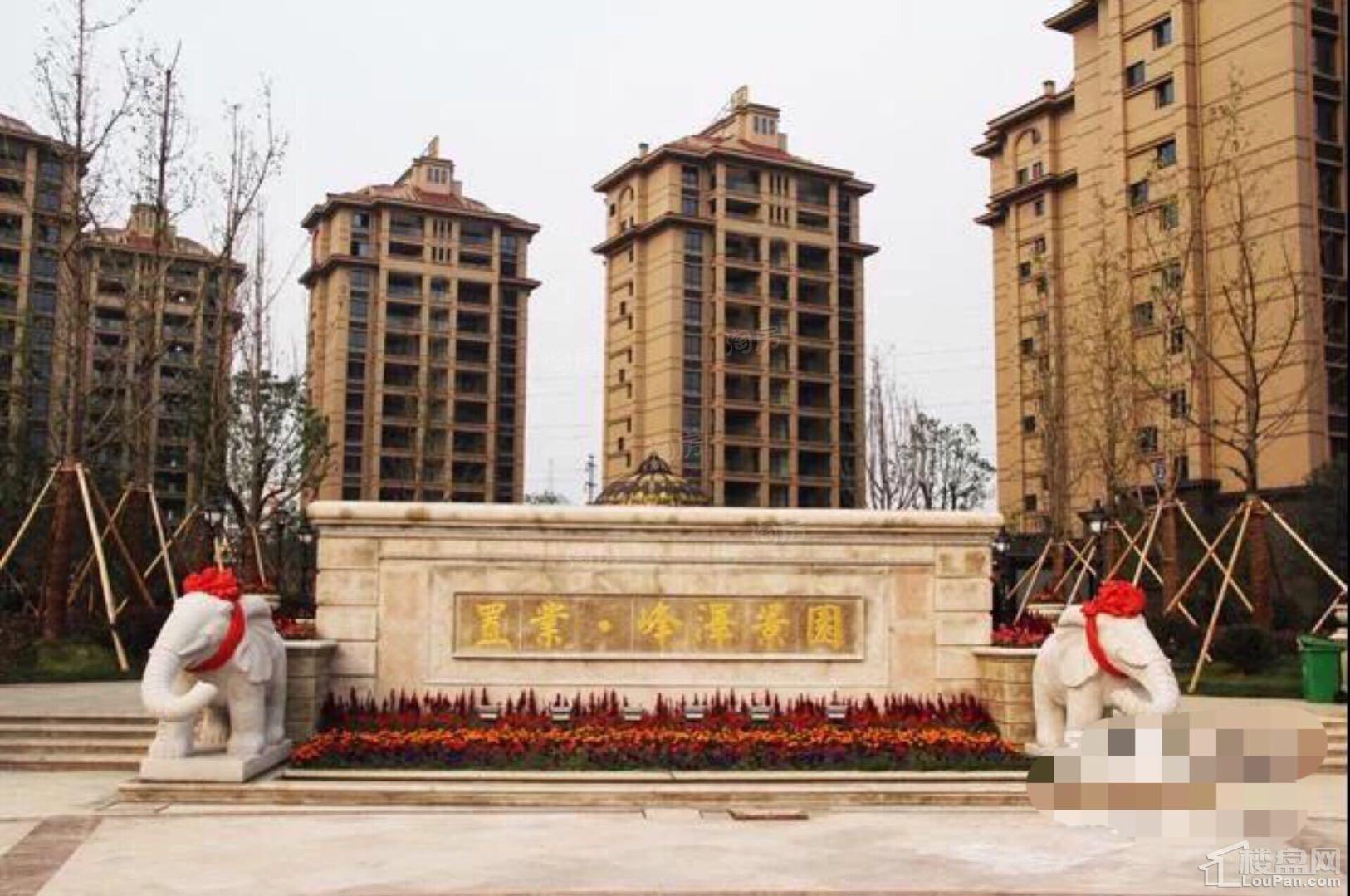实景图