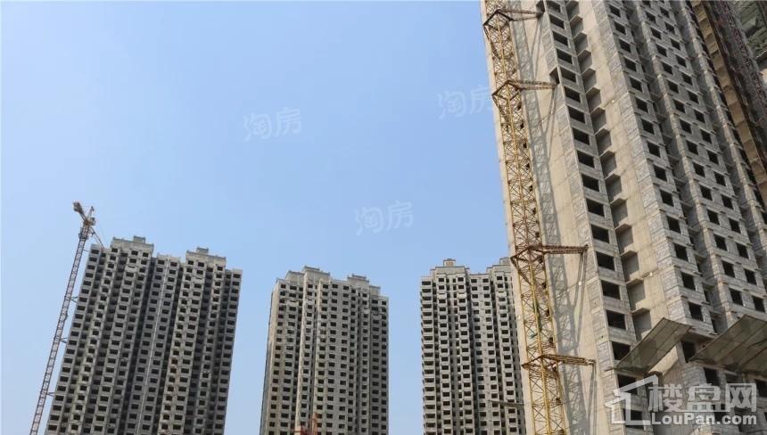 春江花月园实景图
