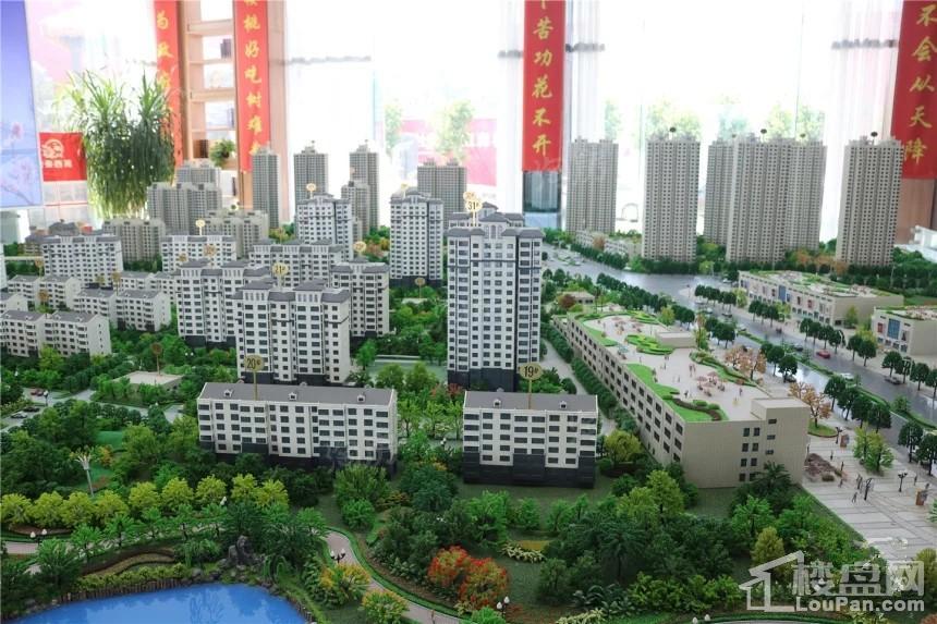 春江花月园实景图