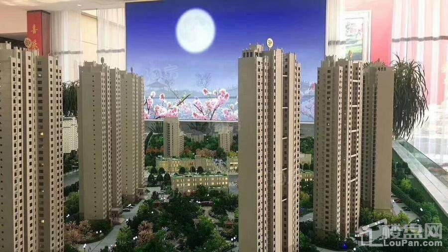 春江花月园实景图