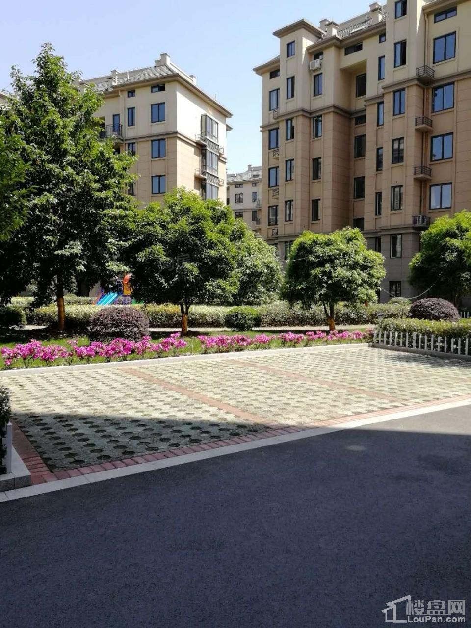 崇城壹品实景图