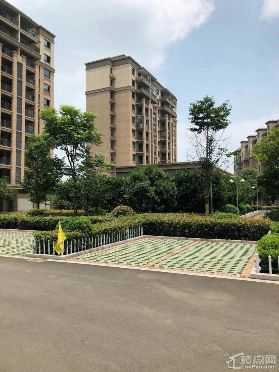 崇城壹品实景图