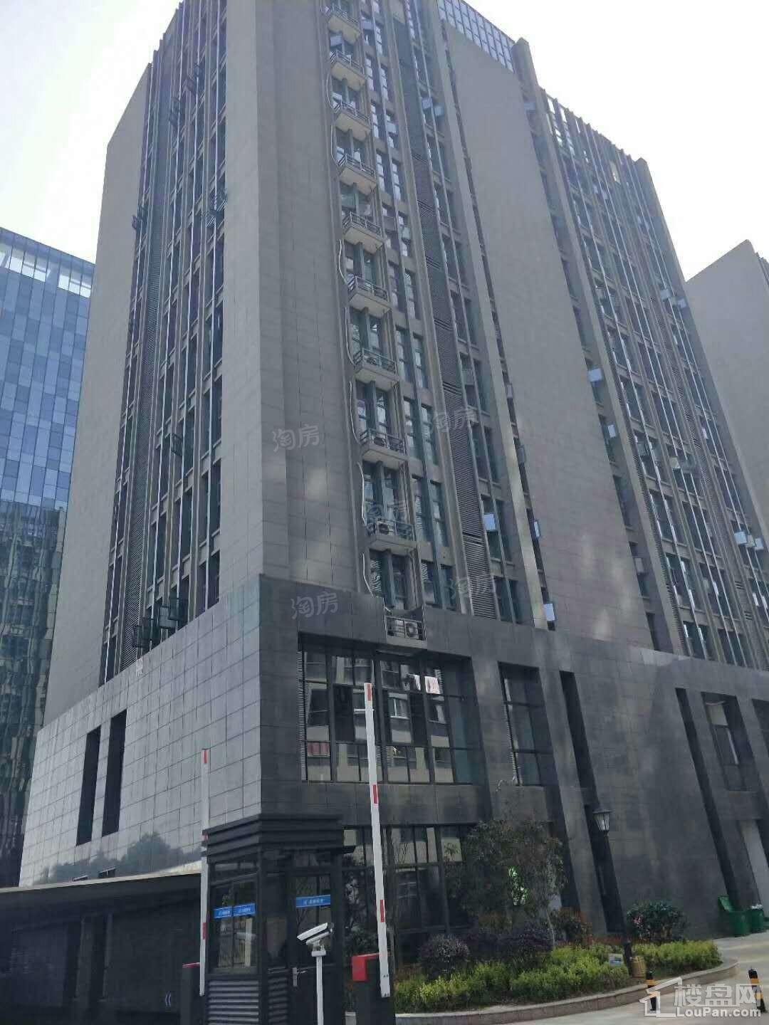 实景图