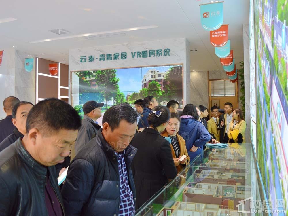 云泰·青青家园实景图