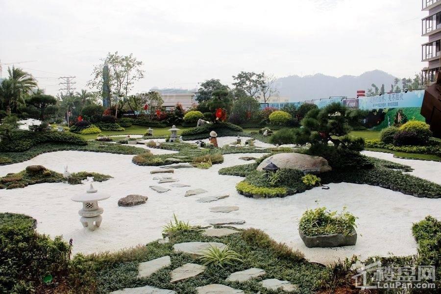实景图