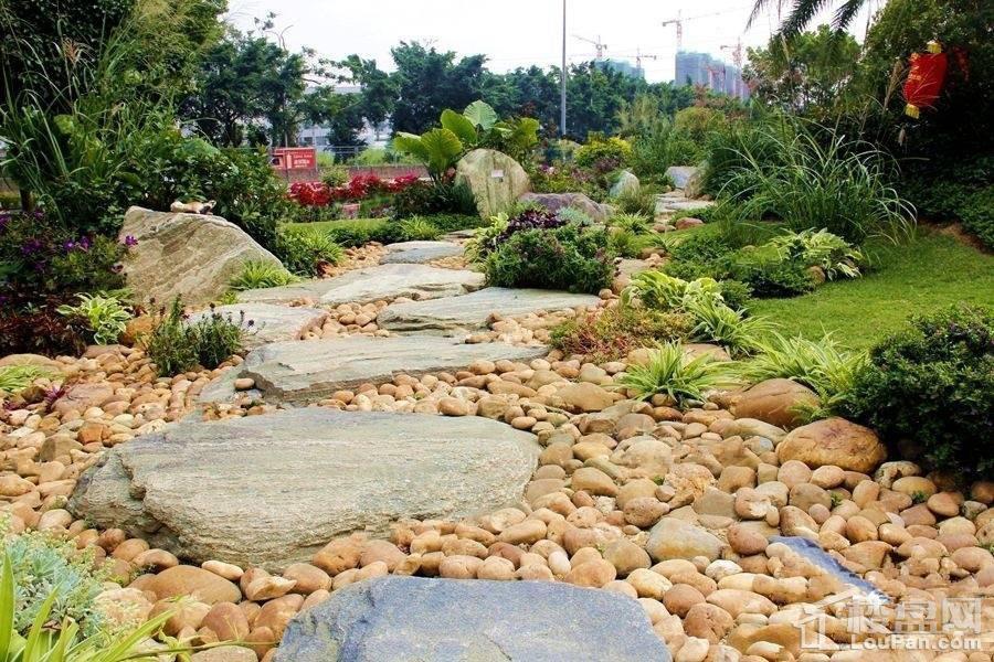 三乡碧桂园实景图