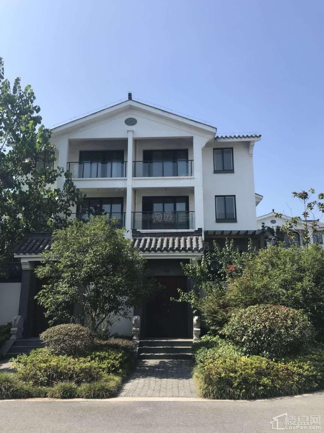 实景图