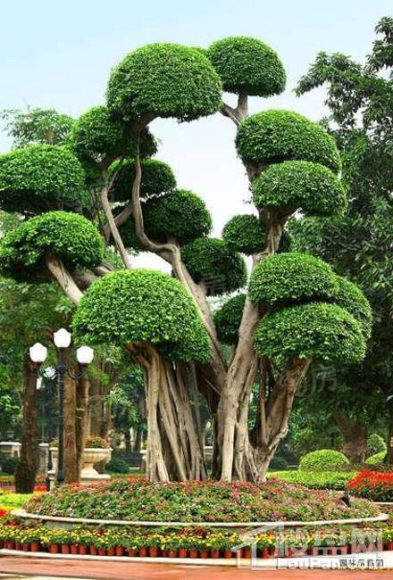 恒大中央广场效果图