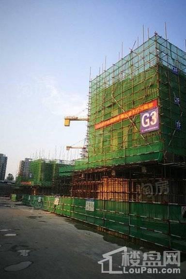 环球掌舵实景图