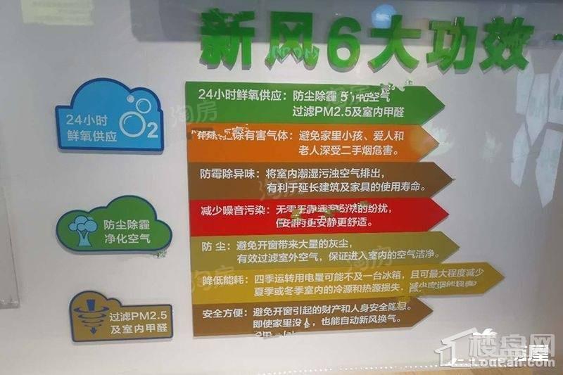 环球掌舵实景图