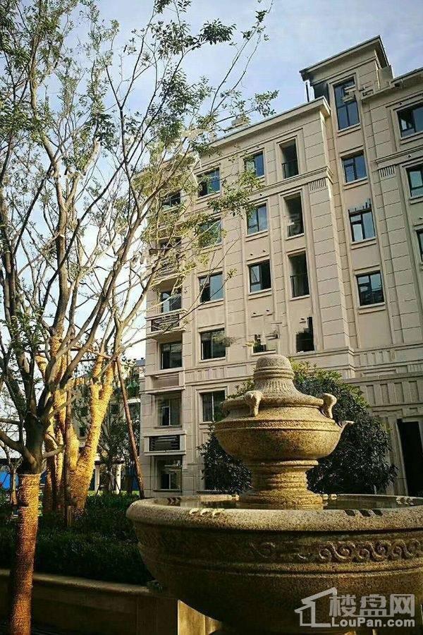实景图