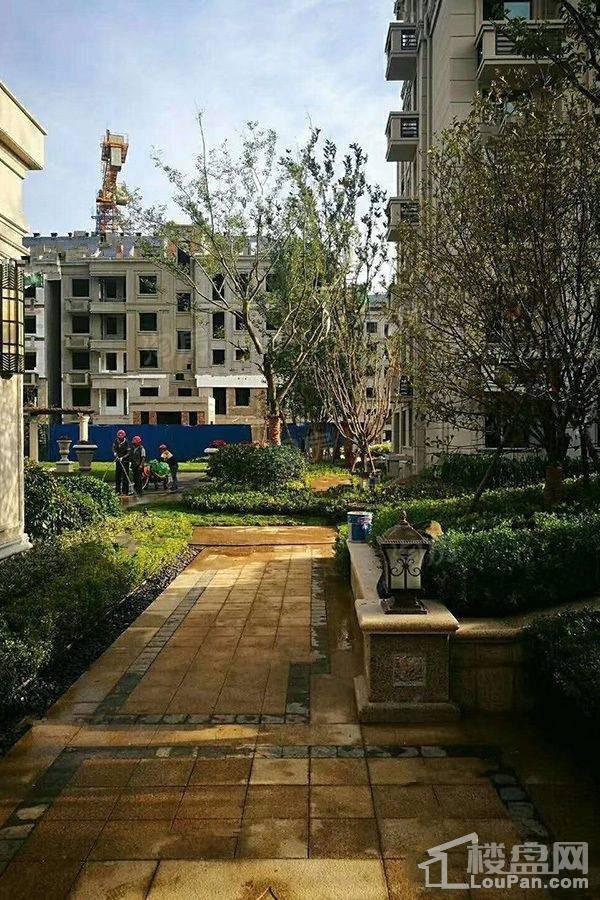 环球掌舵实景图