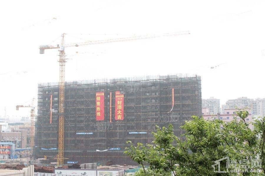 领尚阳光家园实景图