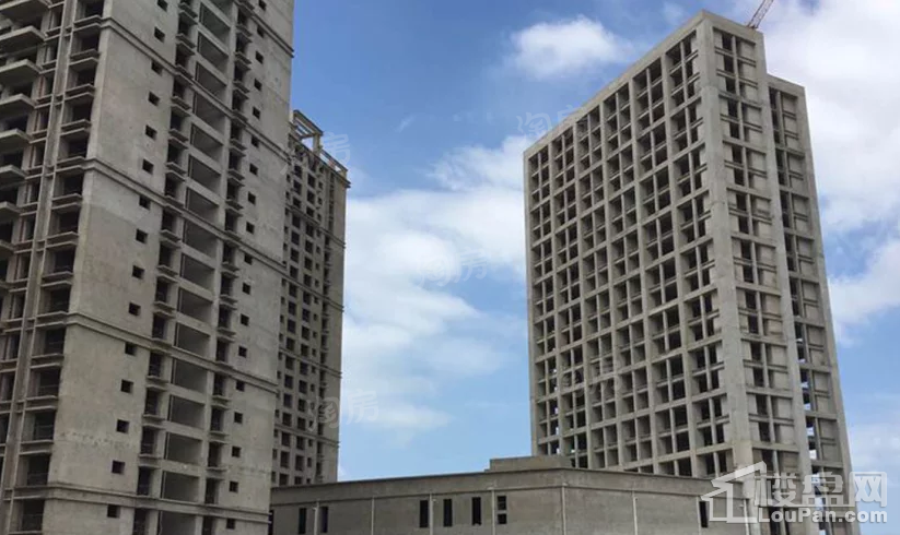 实景图