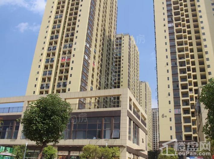 泛亚城邦实景图