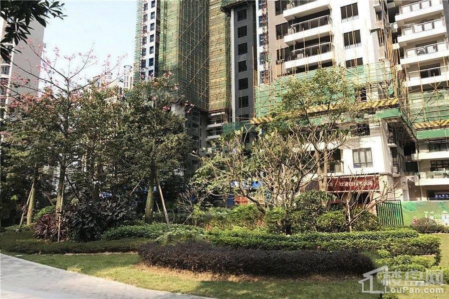 广联博爵实景图