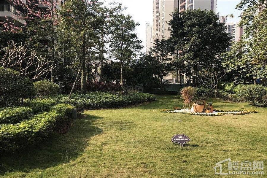 广联博爵实景图