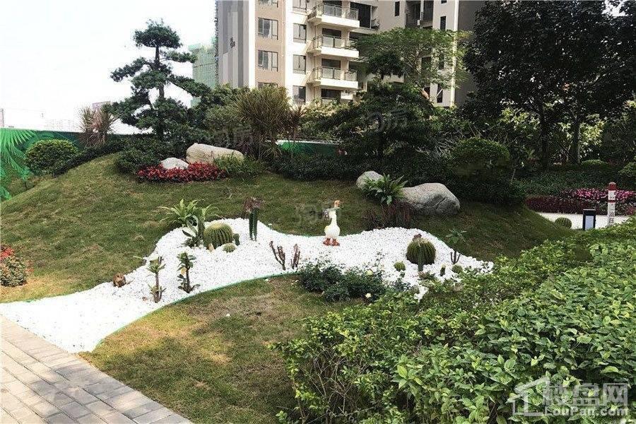 广联博爵实景图