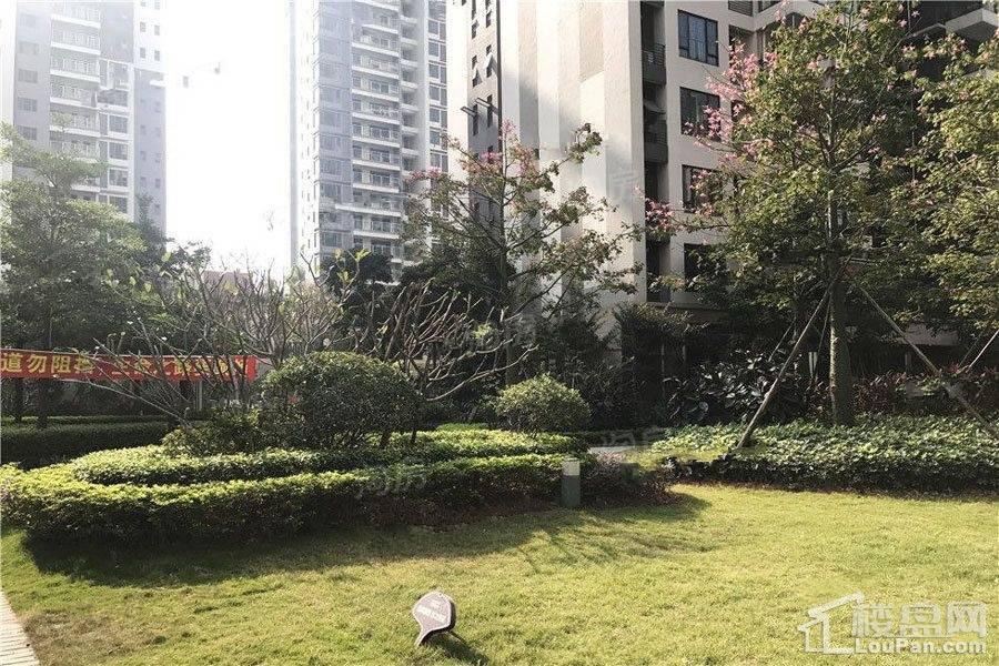 广联博爵实景图