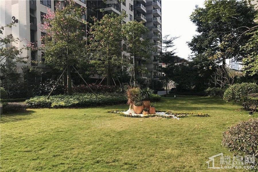 广联博爵实景图