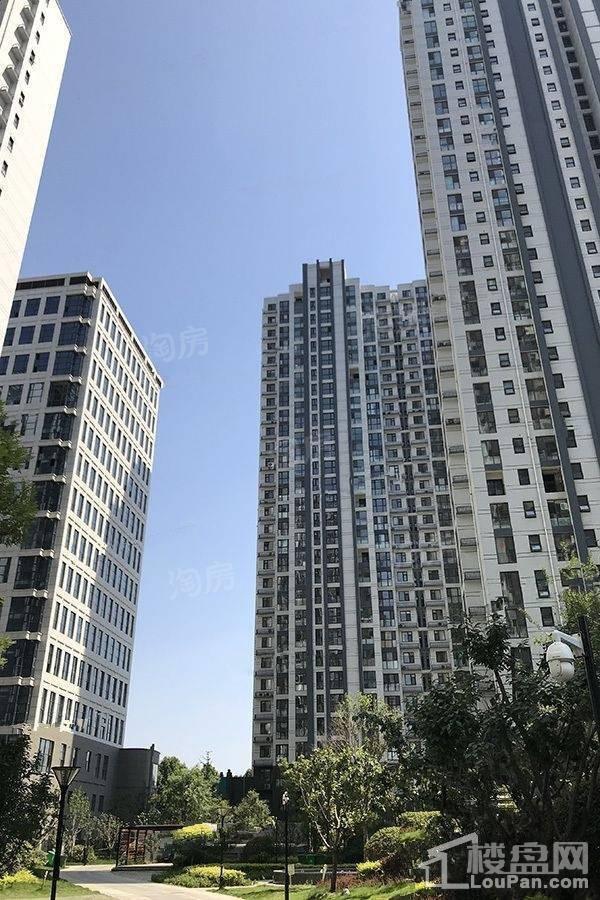 荣昌绿园实景图