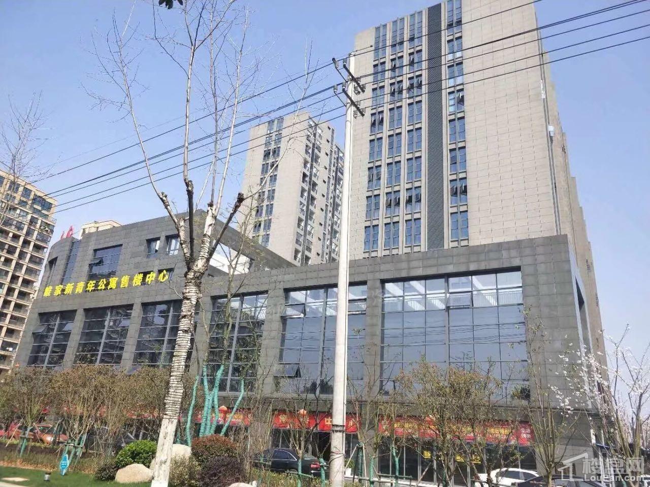 博腾龙马春天实景图