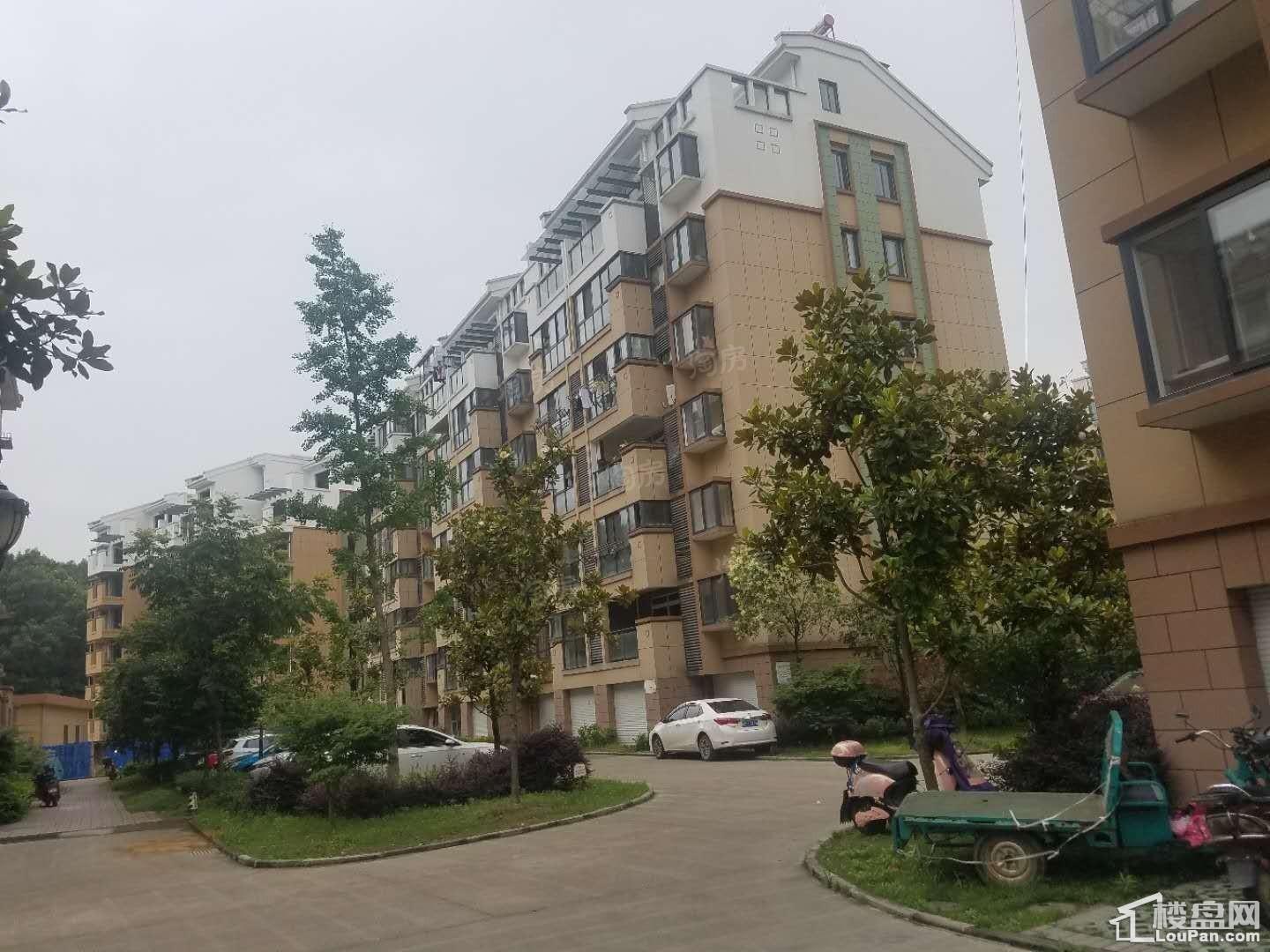 东方豪庭实景图