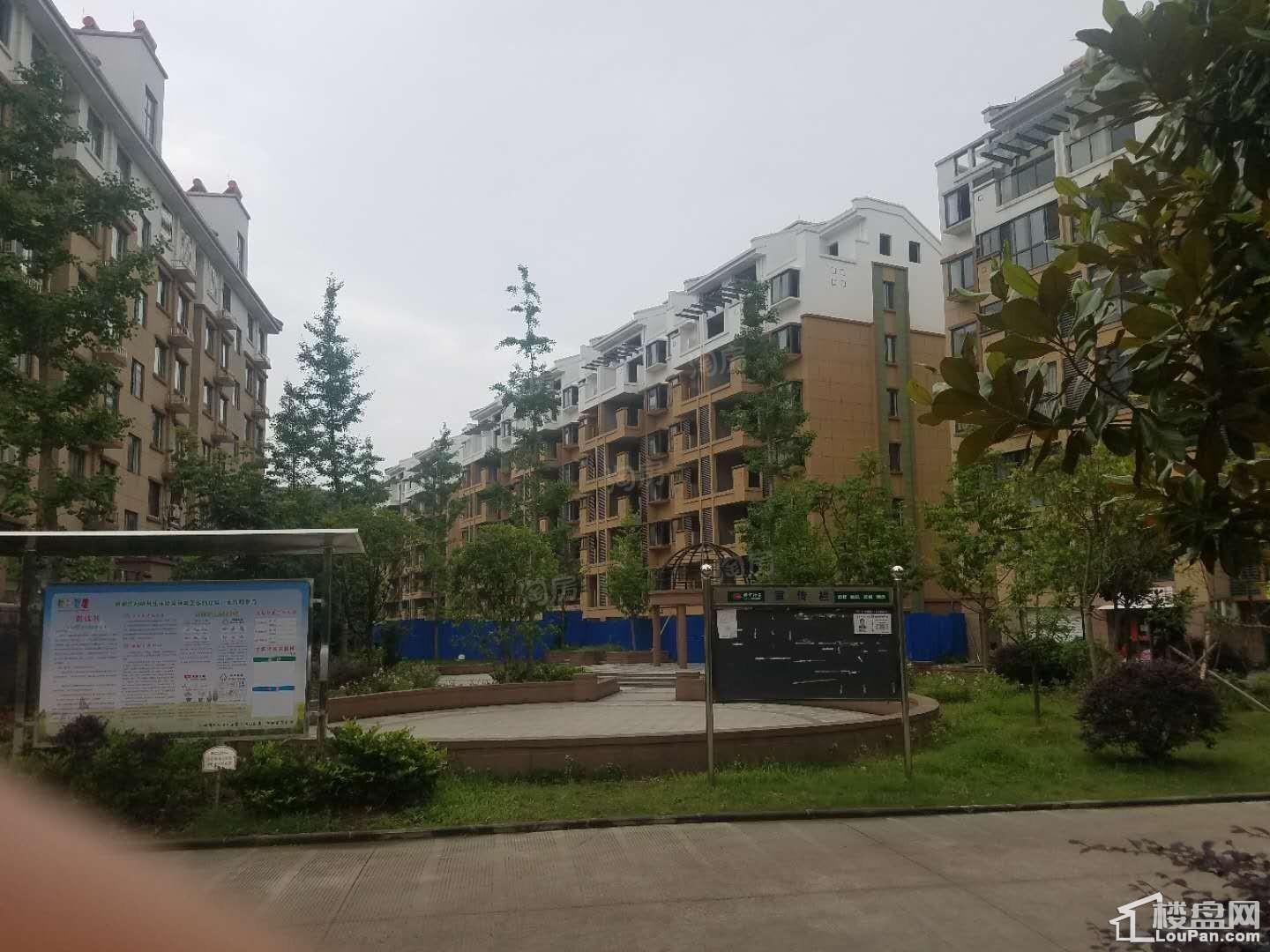 东方豪庭实景图