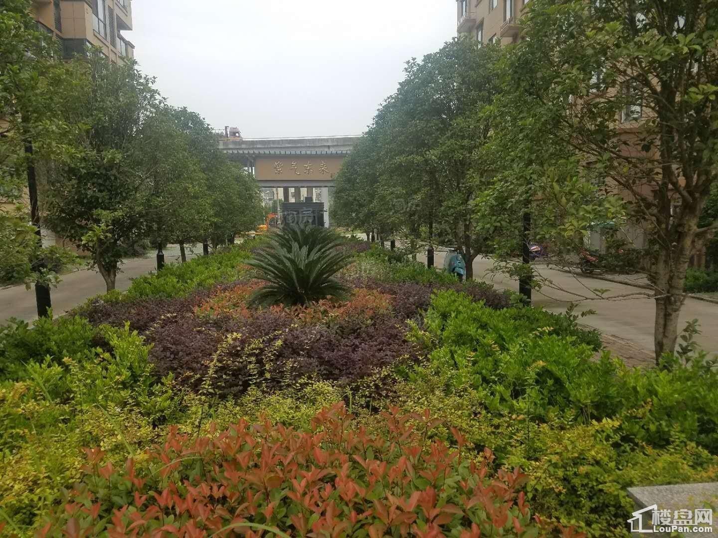 东方豪庭实景图