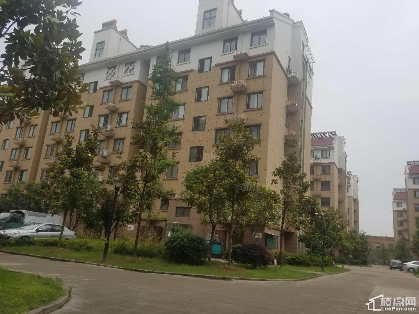 东方豪庭实景图