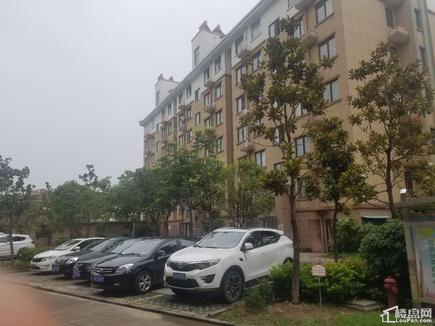 东方豪庭实景图