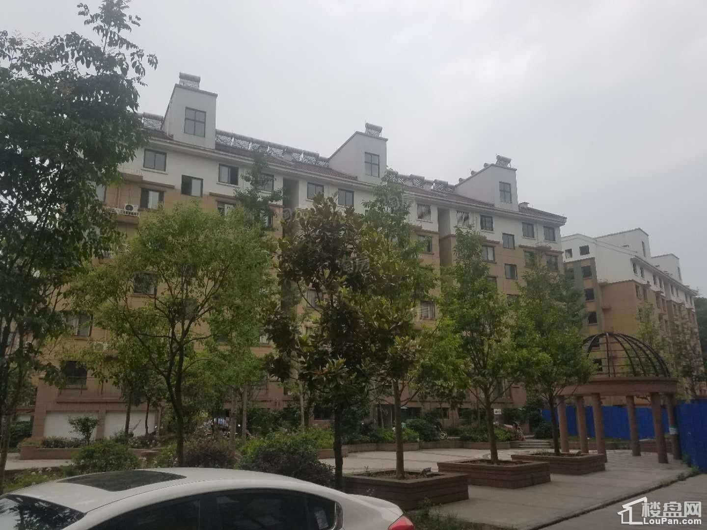东方豪庭实景图