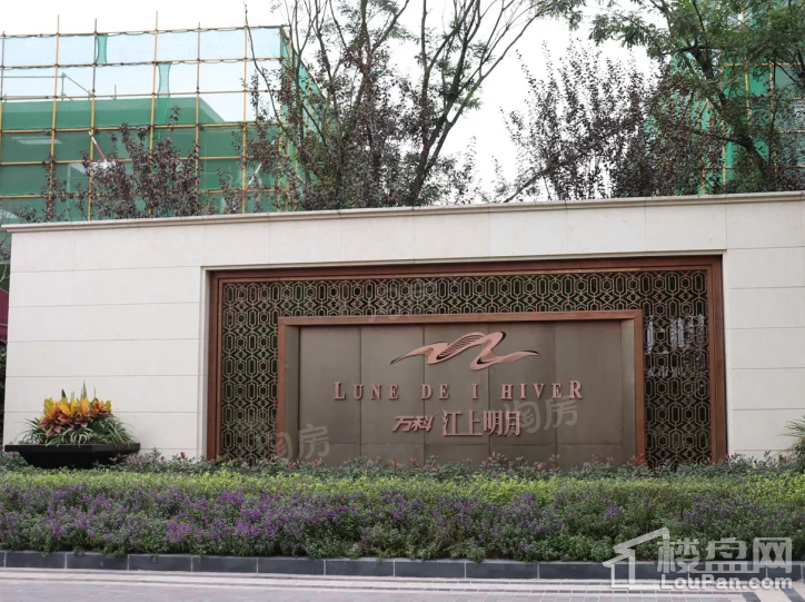 万科江上明月实景图