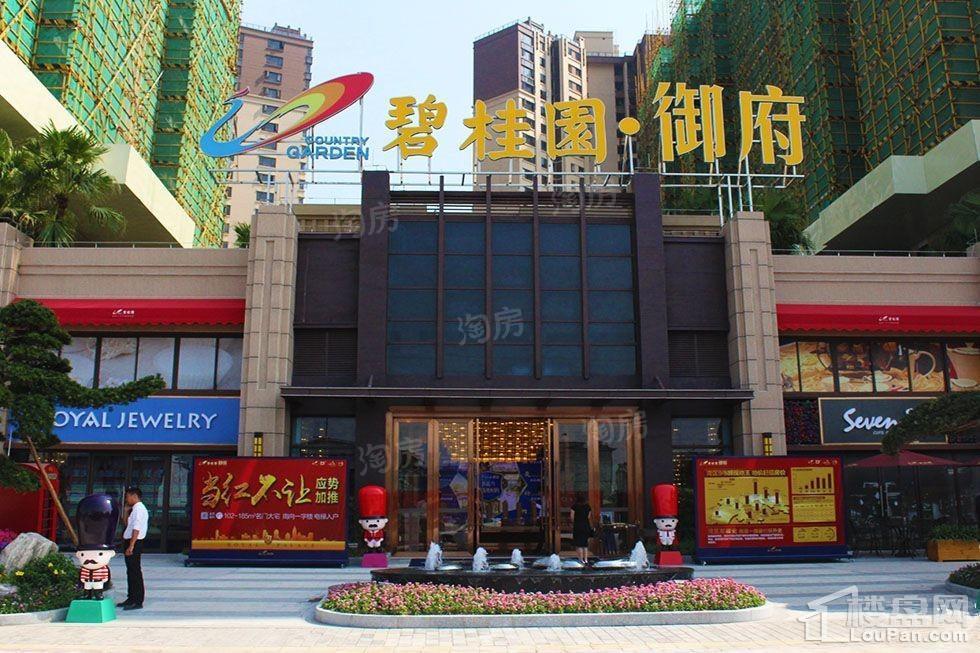 碧桂园·御府实景图