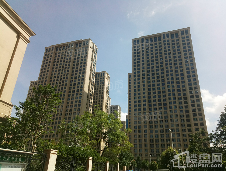 绿城·春江明月实景图