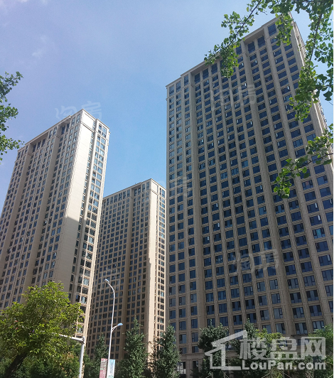 绿城·春江明月实景图