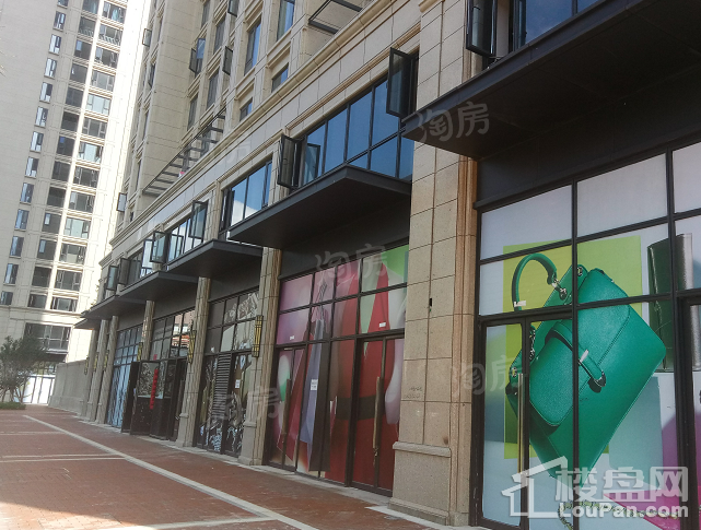 绿城·春江明月实景图