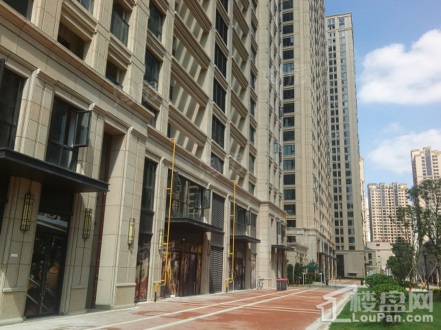 绿城·春江明月实景图