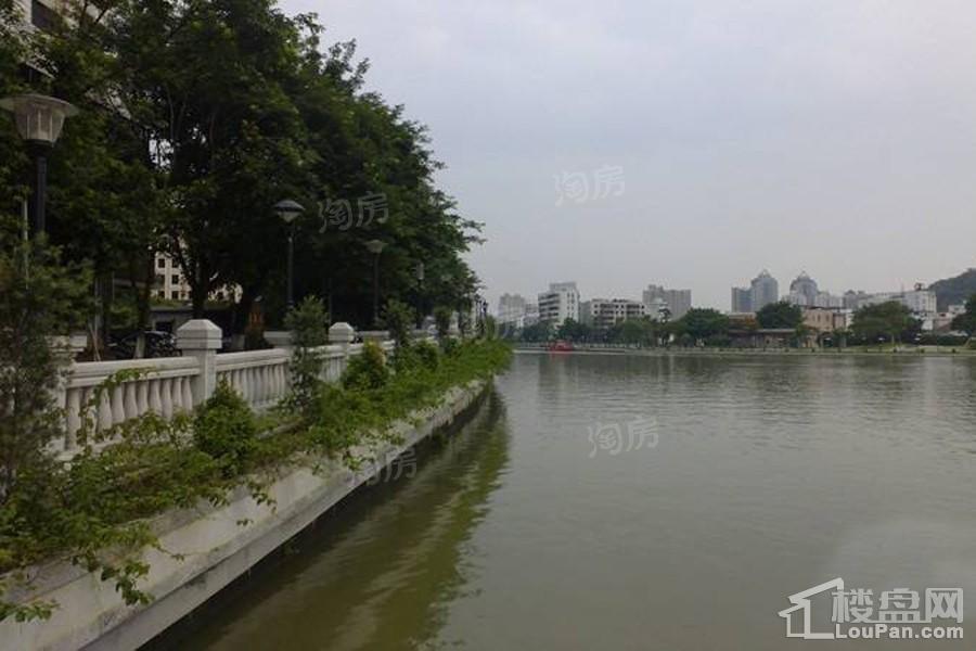 滨江一号实景图