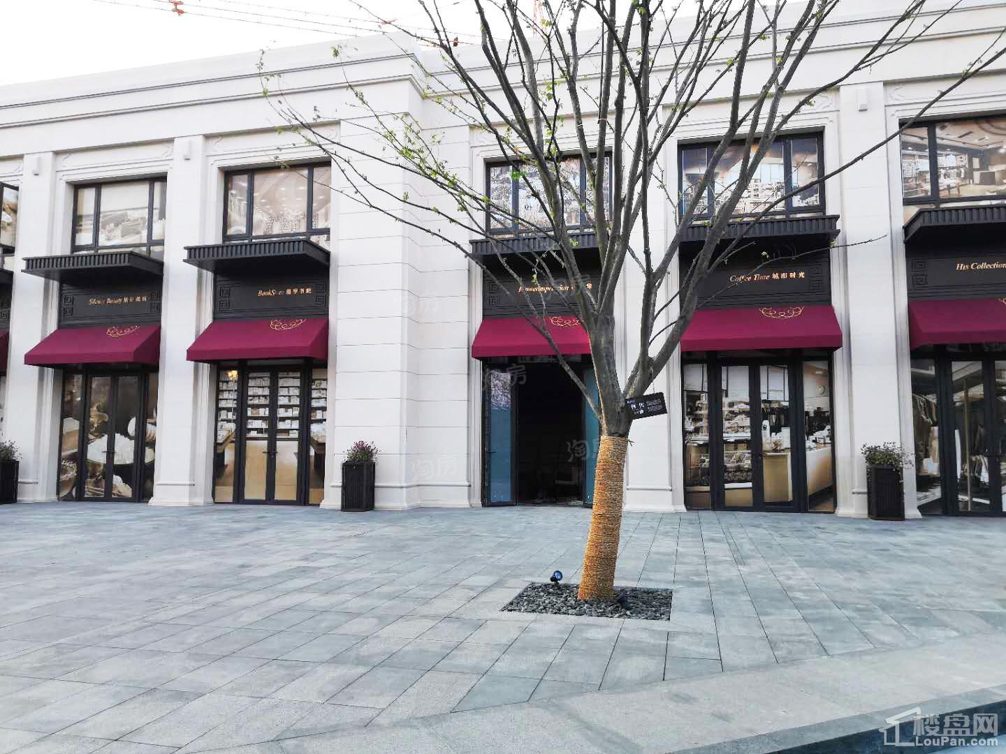 实景图