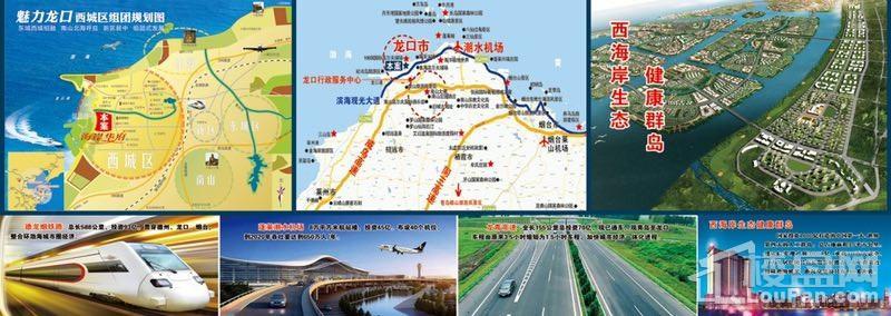 海岸华府效果图