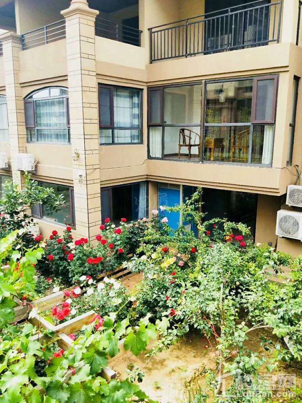 海岸华府实景图
